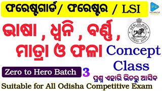 Odia Grammar Concept Class by PATTANAYAKEDUCATION  Bhasa  Dwani  Barna  Matra and Phala [upl. by Ury]