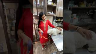 Hospital leke jana Pada Mortu ko Emergency Mai 🐶minivlog sanjhalikavlog dog doglover hospital [upl. by Drofdarb289]