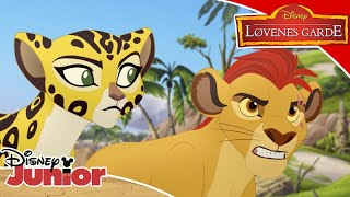 Løvenes Garde  Drageøyen 🔥  Disney Junior Norge [upl. by Elinor]