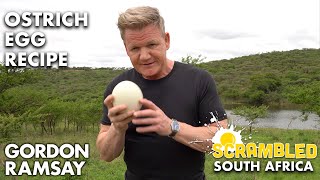 Gordon Ramsay Makes OSTRICH Scrambled Eggs In South Africa  Scrambled [upl. by Llehsim]