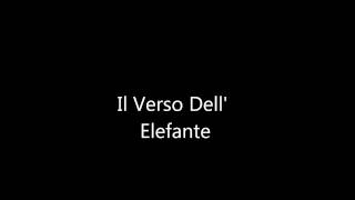 Il Verso DellElefante Video Interattivo [upl. by Cutlip]