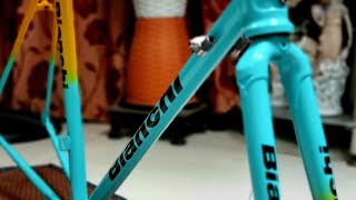 Marco Pantani inspired Bianchi [upl. by Keefer353]