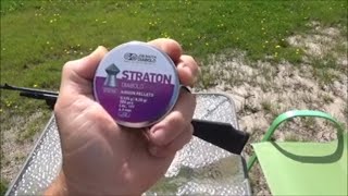 JSB Stratton Diabolo 177 Airgun Pellets Test And Review [upl. by Ardnossak908]