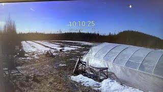 Video shows the moment the plane starts going down in Fairbanks AK [upl. by Gunter]