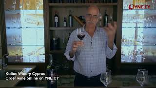 Wine Tasting Tips from Kolios Winery’s Founder How to Taste Wine Like a Pro [upl. by Decker283]