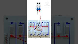 6 Socket 1 Fuse 6 Switch Wiring shortsshortsfeedwiringtecnicelectricalinstallationelectrician [upl. by Attiuqram]