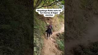 Benteng Takeshi😅‼️kondego pendaki gunung pendakigunung hiking camping shorts [upl. by Ediva]