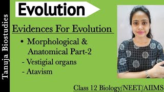 Morphological and anatomical evidences for evolution Part2  Vestigial organs  Atavism  Class 12 [upl. by Jonny]