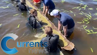 North Carolina Teens Stumble Upon 1000 Year Old Native American Artifact [upl. by Castillo]