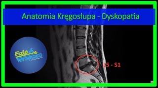 Anatomia Kręgosłupa  Dyskopatia 4 FizjoTerapia HD [upl. by Esdras940]