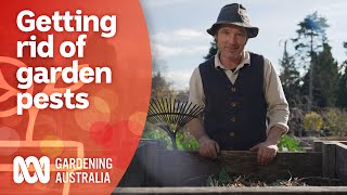 How to protect your vegetable garden from animals  Pest and Disease Control  Gardening Australia [upl. by Kenimod]