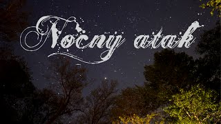 Paranormalne historie widzów  Nocny atak [upl. by Hoem]