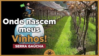 VLOG 05  PASSEIO EMOCIONANTE COM VINHO BRASILEIRO [upl. by Nnayecats135]