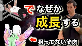 【解剖学】全身を一気に鍛える！初心者がやるべき６つの基本種目￼【４０５０代】 [upl. by Eseerehs]