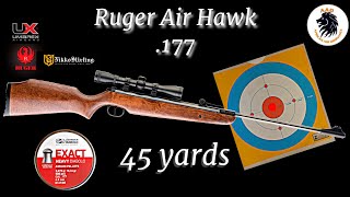 Ruger Air Hawk 177 Accuracy Test Hitting Targets at 45 Yards with JSB 1034gn Pellets [upl. by Hulbard98]