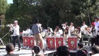 リトルヒルズ Cinderellas waltz 2014 白鳥庭園 [upl. by Amalee]