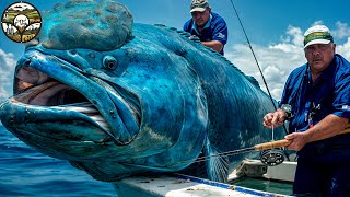 Humphead Wrasse Fishing How do people catch this nearly extinct fish [upl. by Adiraf]