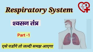 respiratory system anatomy and physiology in hindi  types  phases  divided [upl. by Harman20]