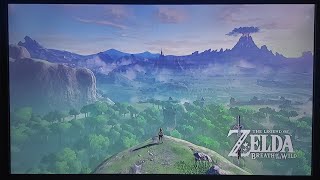 Legend of Zelda BOTW Pt 15 [upl. by Eanrahs]