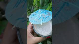 milkshake 🤩shortvideo trendingshorts foodmilkshake [upl. by Yrrok85]