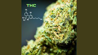 THC [upl. by Choong]