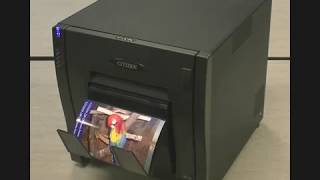 Citizen OP900 Professional Digital Photo Printer  producing 4x6 inch prints every 8 seconds [upl. by Arualana]