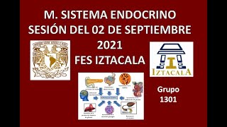 M Sistema Endocrino Sesión del Jueves 02 de Septiembre del 2021 [upl. by Draude497]