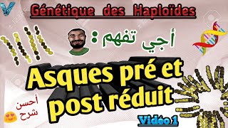 vidéo 1 génétique des haploides en arabe svi s4 [upl. by Gideon]