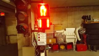 Traffic Signal Setup with Chirps amp Cuckoos [upl. by Judus]