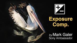 Exposure Compensation when using Sony Alpha Cameras [upl. by Loyce]