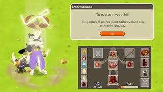 AVENTURE TEMPORIS DOFUS RETRO III 13  UP 200 amp RAMBOTON [upl. by Clayberg902]