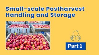 Smallscale Postharvest Handling Practices Horticultural Crops  Part 1 [upl. by Wilonah]