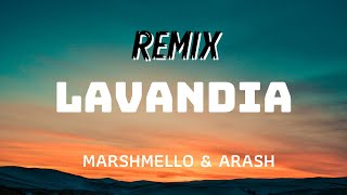 Marshmello x Arash  LAVANDIA DJ Crox remix [upl. by Elimac971]