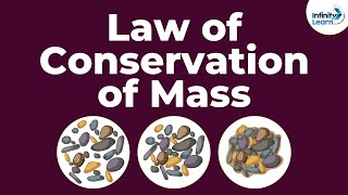 Law of Conservation of Mass  Dont Memorise [upl. by Joo148]