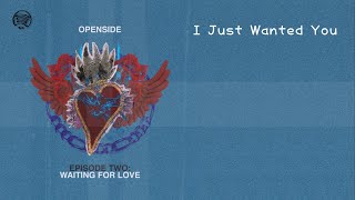 I Just Wanted You  Openside Lyrics [upl. by Naivatco]