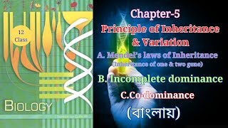 Class 12 Principle of Inheritance and variation Part 1 for NEETHarunbiozone [upl. by Retsub]