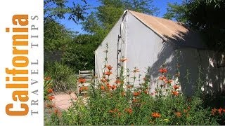 Roar and Snore Camping  San Diego Zoo Safari Park  California Travel Tips [upl. by Ajani]