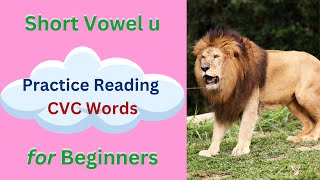 Practice Reading Easy English Words  Learn to Read CVCC CCVC words [upl. by Liris]