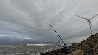 fishing at Cambois [upl. by Melosa]