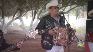 Los Alameños De La Sierra  El Burrero Culon En Vivo [upl. by Samford]