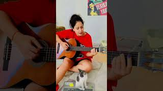 Üstüme Basıp GeçmeGökhan Kırdar Cover gökhankırdar cats guitar gitar [upl. by Eitsyrhc72]