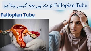 Blocked Fallopian Tubes  Treatment of Block Tubes  How to Get Pregnant with Blocked Tubes in Urdu [upl. by Fugazy82]