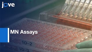 MN Assays for Measuring Influenza Neutralizing Antibody  Protocol Preview [upl. by Naitsirhc]