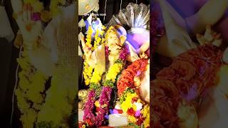 Small ganesh ka raja nimajjanam tank bund jai shree ganesha shorts trending PNFESTIVALVLOGS [upl. by Nnylrats]