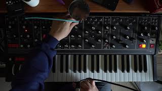 Moog Matriarch Walkthrough Demo and Sound Examples [upl. by Particia]