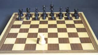 How Chess Pieces Move [upl. by Hi]