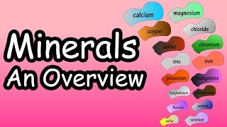 Minerals  What Are Minerals  What Do Minerals Do  What Are The Essential Minerals [upl. by Warrenne]