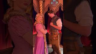 Rapunzel and Flynn Rider both give “the smolder”  Disneyland 2324 in Fantasyland [upl. by Pennie]