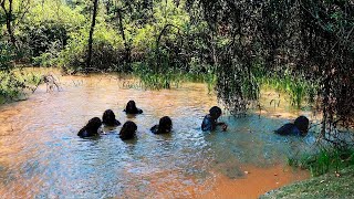 What A Camera Captured In The Philippines Shocked The Whole World [upl. by Enelez]