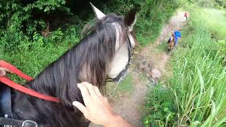 Cabalgando en Villalba PR con Hacienda La Tardanza elcaballoyelcaballista [upl. by Ullund]